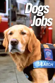 Собаки, що мають роботу постер