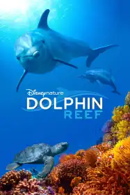 Dolphin Reef постер
