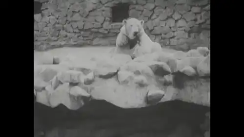 Сенька-африканець (1927)