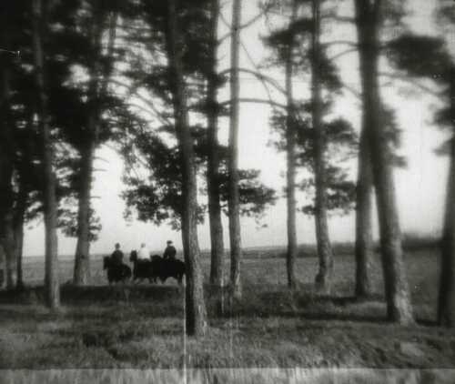 Про пана Лебеденка (1936)