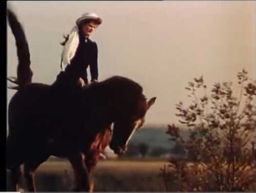 Пані сенаторка (1992)