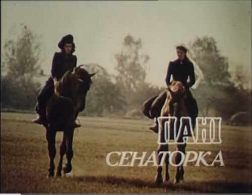 Пані сенаторка (1992)