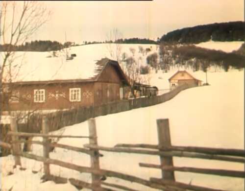 Бойки (1995)